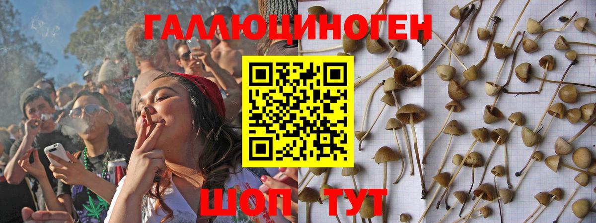 Галлюциногенные грибы ЛСД  Галлюциногенные грибы Psilocybe  Кумертау  закладки  Вход с VPN 